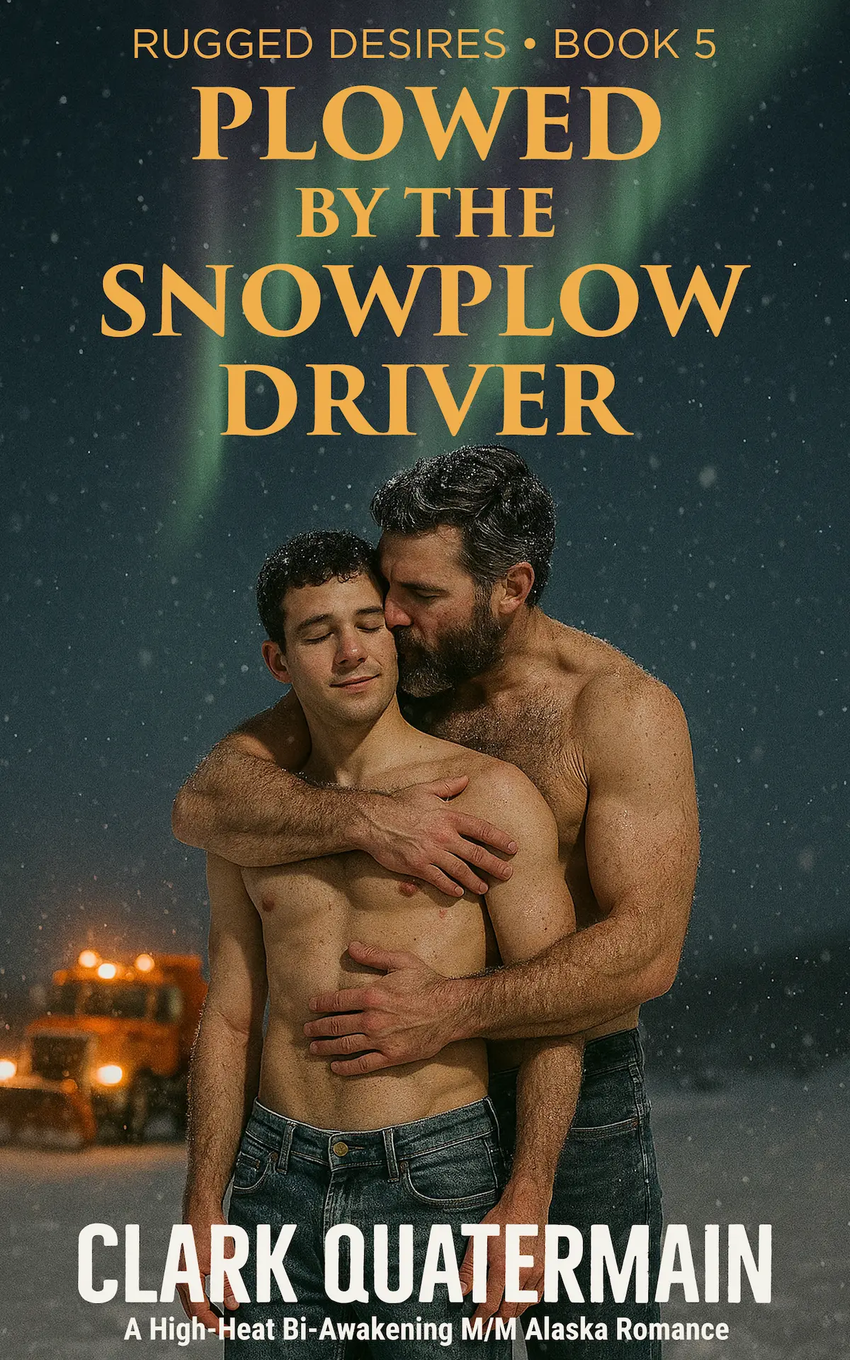 Plowed by the Snowplow Driver book cover